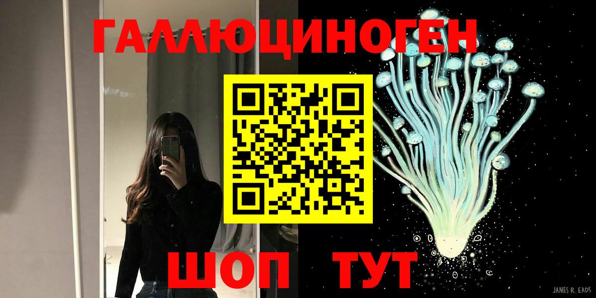 Псилоцибиновые грибы Cubensis Камышин